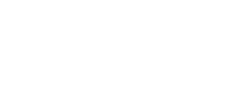 logo-100-bco